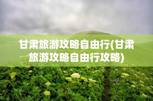 甘肃旅游攻略自由行(甘肃旅游攻略自由行攻略)
