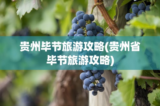 贵州毕节旅游攻略(贵州省毕节旅游攻略)