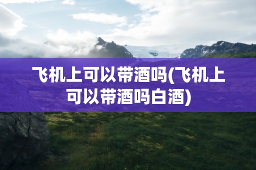 飞机上可以带酒吗(飞机上可以带酒吗白酒)