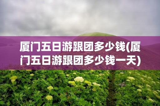 厦门五日游跟团多少钱(厦门五日游跟团多少钱一天)
