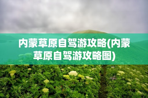 内蒙草原自驾游攻略(内蒙草原自驾游攻略图)
