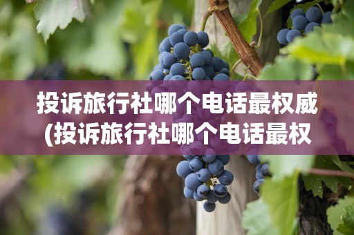 投诉旅行社哪个电话最权威(投诉旅行社哪个电话最权威呢)