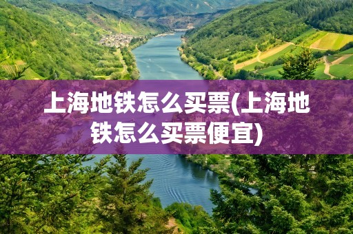 上海地铁怎么买票(上海地铁怎么买票便宜)