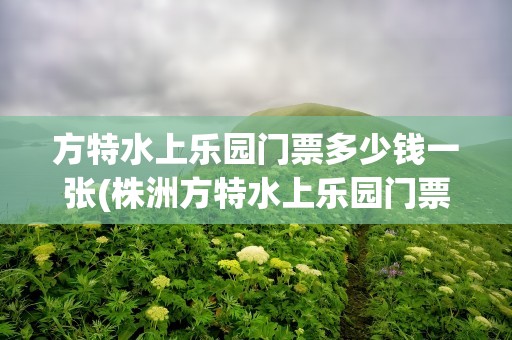方特水上乐园门票多少钱一张(株洲方特水上乐园门票多少钱一张)