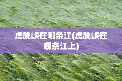 虎跳峡在哪条江(虎跳峡在哪条江上)