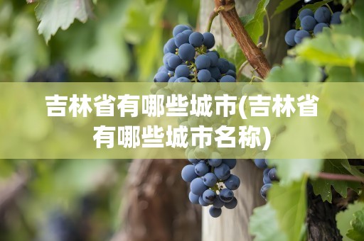 吉林省有哪些城市(吉林省有哪些城市名称)