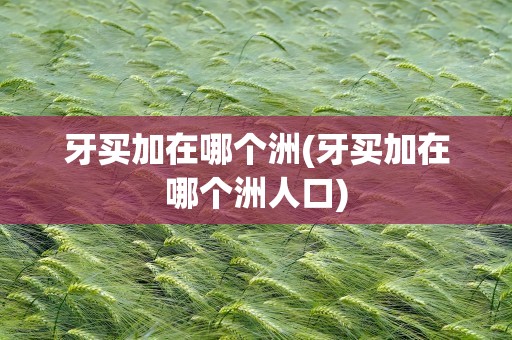 牙买加在哪个洲(牙买加在哪个洲人口)