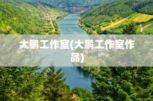 大鹏工作室(大鹏工作室作品)