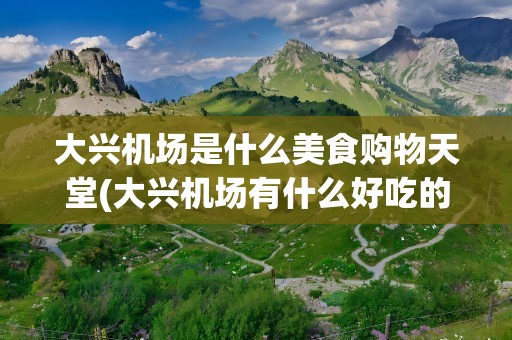 大兴机场是什么美食购物天堂(大兴机场有什么好吃的美食)