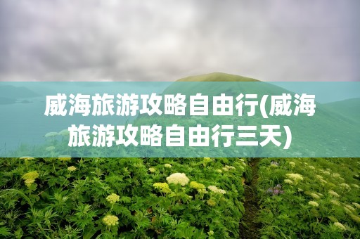 威海旅游攻略自由行(威海旅游攻略自由行三天)