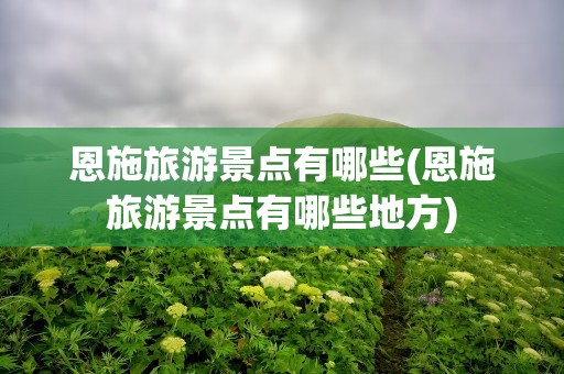 恩施旅游景点有哪些(恩施旅游景点有哪些地方)