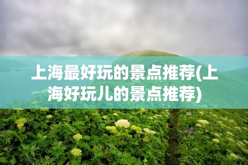 上海最好玩的景点推荐(上海好玩儿的景点推荐)