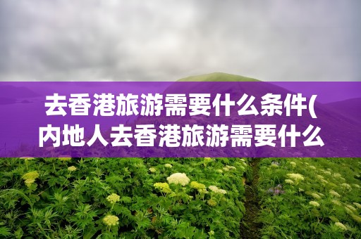 去香港旅游需要什么条件(内地人去香港旅游需要什么条件)