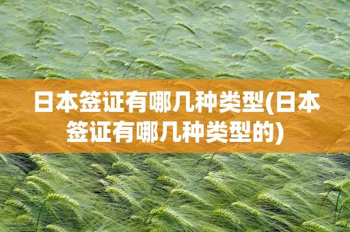 日本签证有哪几种类型(日本签证有哪几种类型的)