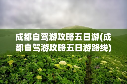 成都自驾游攻略五日游(成都自驾游攻略五日游路线)