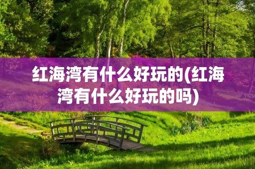 红海湾有什么好玩的(红海湾有什么好玩的吗)