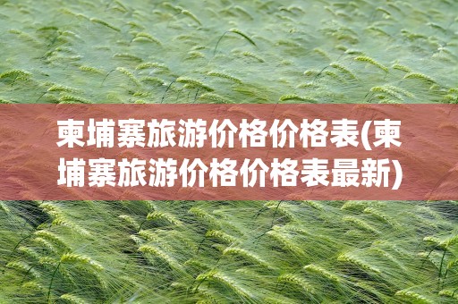 柬埔寨旅游价格价格表(柬埔寨旅游价格价格表最新)
