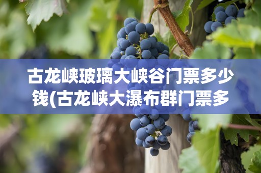 古龙峡玻璃大峡谷门票多少钱(古龙峡大瀑布群门票多少钱)
