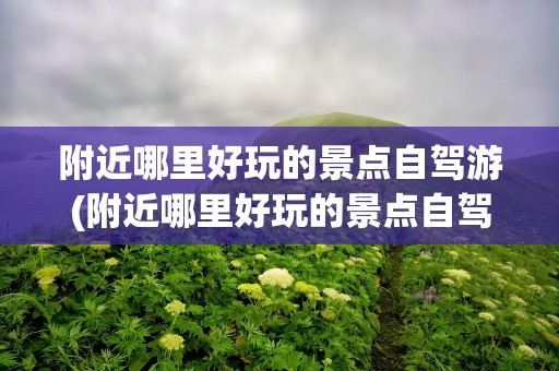 附近哪里好玩的景点自驾游(附近哪里好玩的景点自驾游泉州)