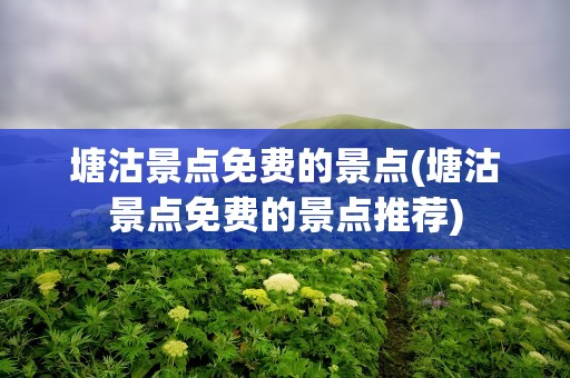 塘沽景点免费的景点(塘沽景点免费的景点推荐)