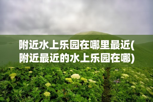 附近水上乐园在哪里最近(附近最近的水上乐园在哪)