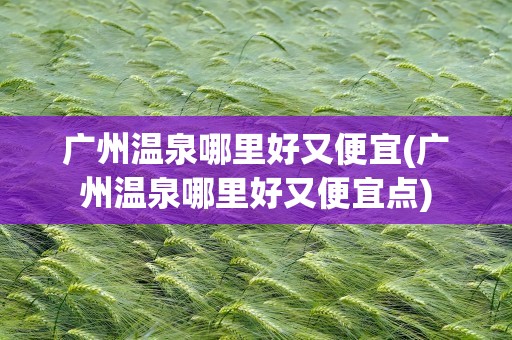 广州温泉哪里好又便宜(广州温泉哪里好又便宜点)