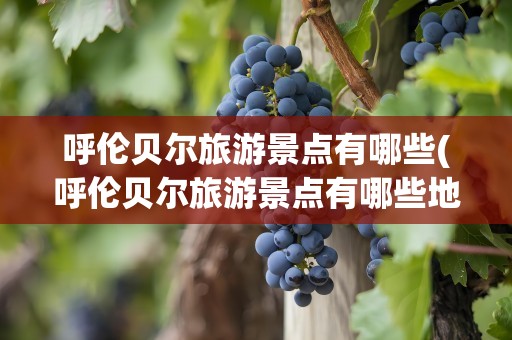 呼伦贝尔旅游景点有哪些(呼伦贝尔旅游景点有哪些地方)