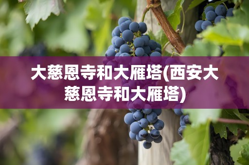大慈恩寺和大雁塔(西安大慈恩寺和大雁塔)