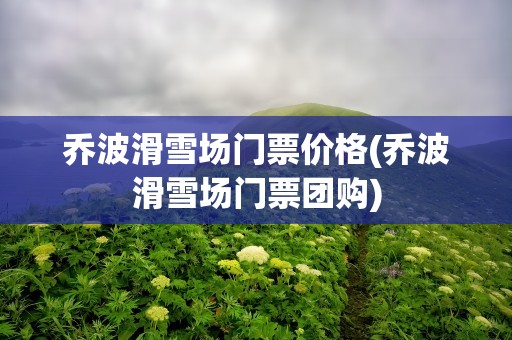 乔波滑雪场门票价格(乔波滑雪场门票团购)