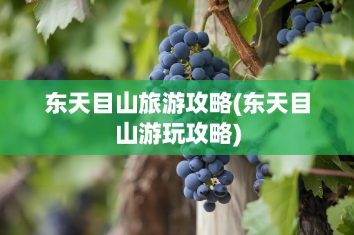 东天目山旅游攻略(东天目山游玩攻略)