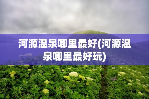 河源温泉哪里最好(河源温泉哪里最好玩)