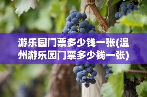 游乐园门票多少钱一张(温州游乐园门票多少钱一张)