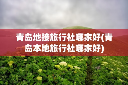 青岛地接旅行社哪家好(青岛本地旅行社哪家好)