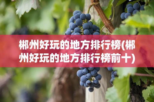 郴州好玩的地方排行榜(郴州好玩的地方排行榜前十)