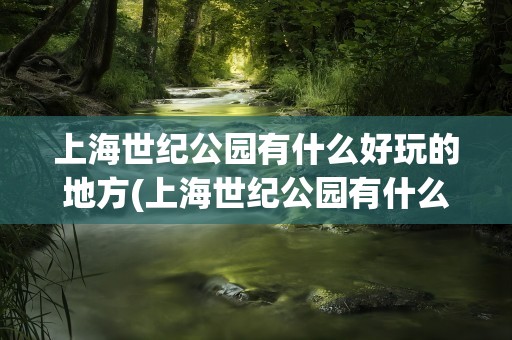 上海世纪公园有什么好玩的地方(上海世纪公园有什么好玩的地方吗)