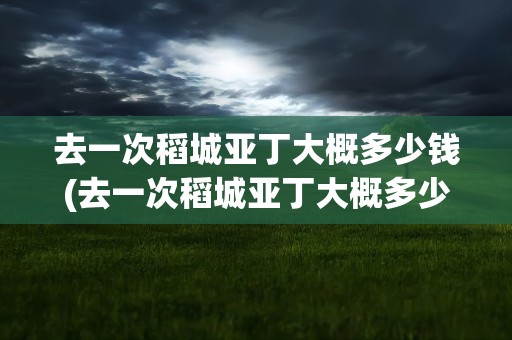 去一次稻城亚丁大概多少钱(去一次稻城亚丁大概多少钱啊)