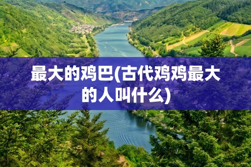 最大的鸡巴(古代鸡鸡最大的人叫什么)