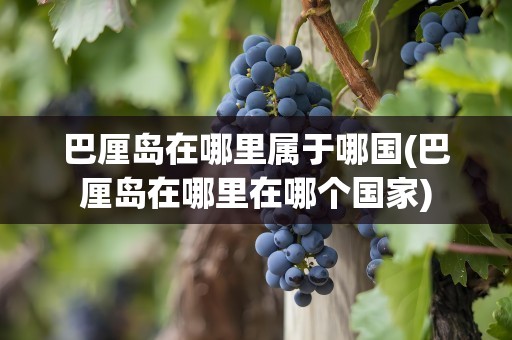 巴厘岛在哪里属于哪国(巴厘岛在哪里在哪个国家)