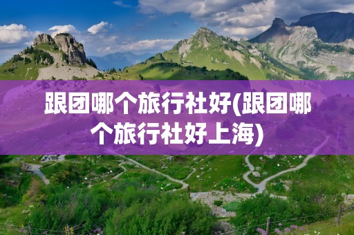 跟团哪个旅行社好(跟团哪个旅行社好上海)