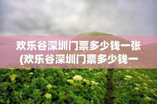 欢乐谷深圳门票多少钱一张(欢乐谷深圳门票多少钱一张票)