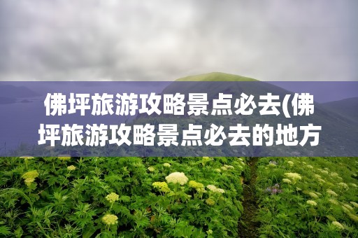 佛坪旅游攻略景点必去(佛坪旅游攻略景点必去的地方)
