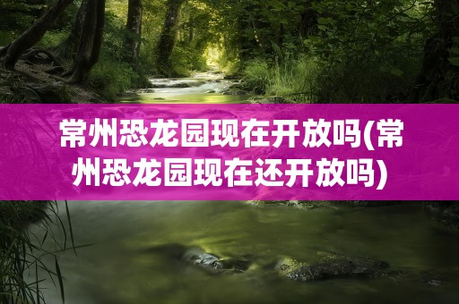 常州恐龙园现在开放吗(常州恐龙园现在还开放吗)
