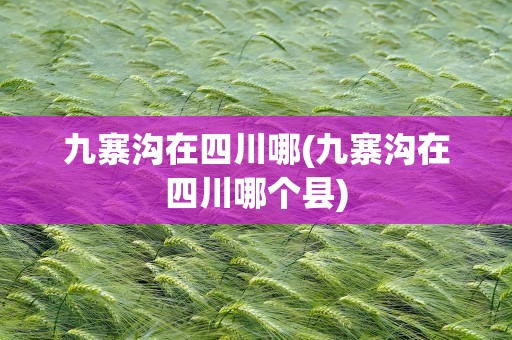 九寨沟在四川哪(九寨沟在四川哪个县)