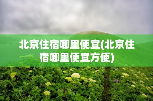北京住宿哪里便宜(北京住宿哪里便宜方便)