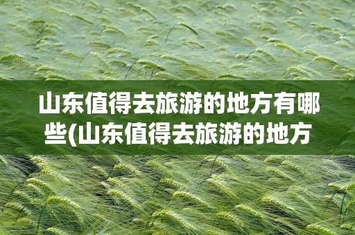 山东值得去旅游的地方有哪些(山东值得去旅游的地方有哪些呢)