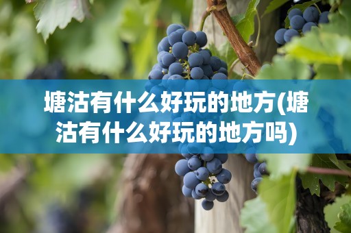塘沽有什么好玩的地方(塘沽有什么好玩的地方吗)
