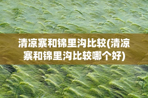 清凉寨和锦里沟比较(清凉寨和锦里沟比较哪个好)