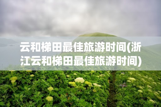 云和梯田最佳旅游时间(浙江云和梯田最佳旅游时间)