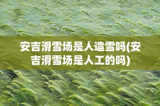 安吉滑雪场是人造雪吗(安吉滑雪场是人工的吗)