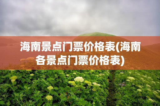 海南景点门票价格表(海南各景点门票价格表)